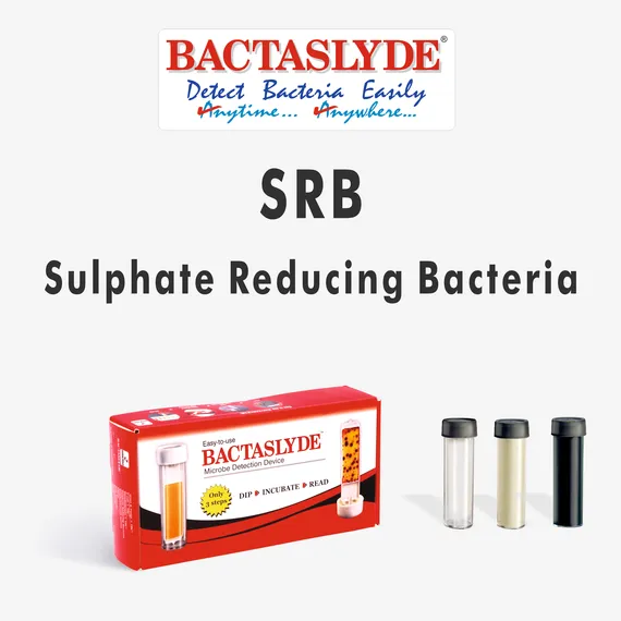 BS115 Bactaslyde microbiological test kit