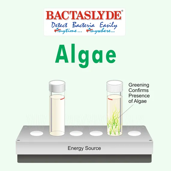 BS125R Bactaslyde algae test kit refill (BS125 image shown)